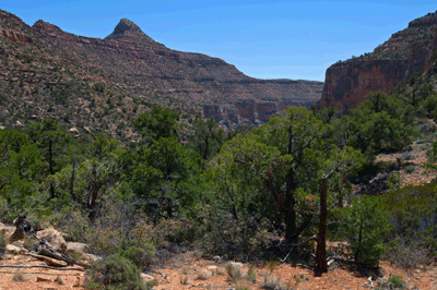 Looking south from the Lava/Unkar saddle into the north arm of Unkar