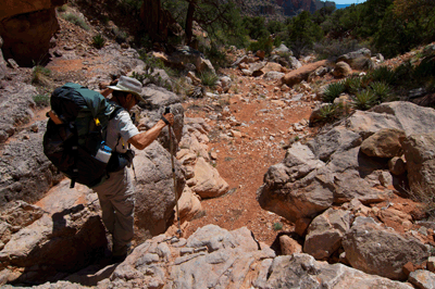 Exposed Redwall Limestone in north Unkar