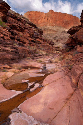 Looking up Vishnu Creek toward the Redwall