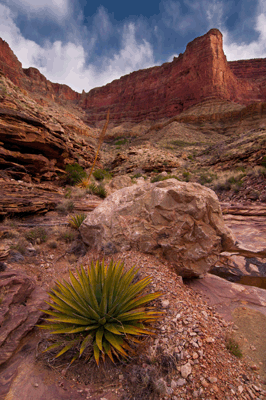 The Redwall in Vishnu Canyon