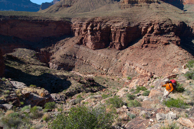 Making the descent route from the Tonto level into the east arm of Clear Creek