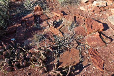 A ancestral puebloan ruin site in Clear Creek