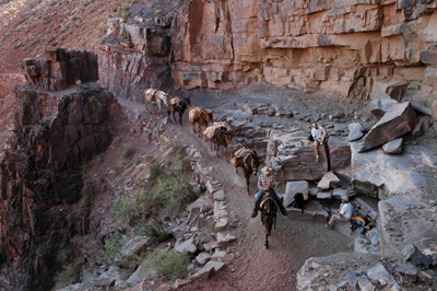 A pack train passes through Big Shady