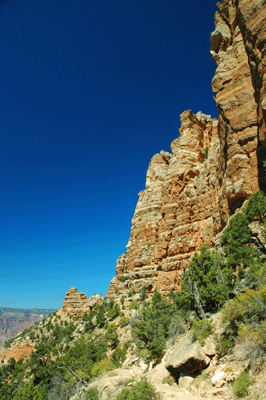 Another view of the Coconino