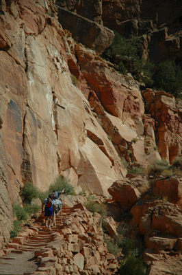 Beginning the return trip to the trailhead