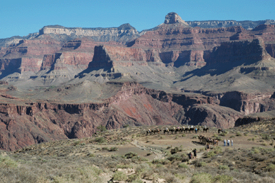 A mule train takes a break at the solar toilets near the Tipoff