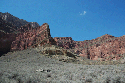 A fossil on the Tonto Trail