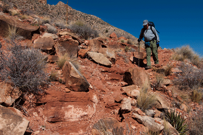 Dennis hiking Tanner trail