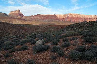 Hiking along the Tonto-like plateau, Chuar Butte grows ever more prominent in the distance