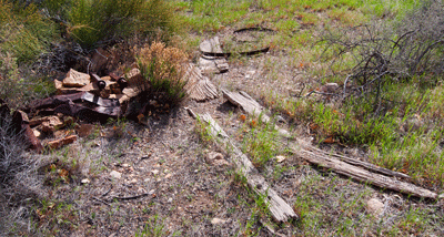 The first remains we found of the old still operation in Lava Creek