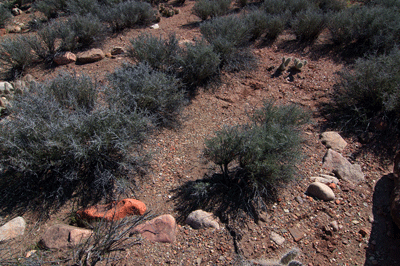 A room outline at a ruin site in Lava Canyon