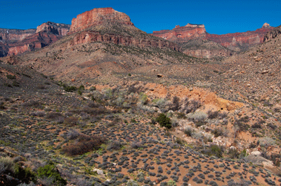 Looking WNW through Lava Canyon toward Chiavria Point (center-left), Hubbell Butte (center-right) and Butchart Butte (upper right corner) in Gtand Canyon