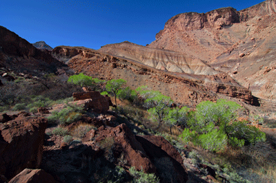 Looking back toward the Cottonwoods and exposed Super Group rock layers in Basalt