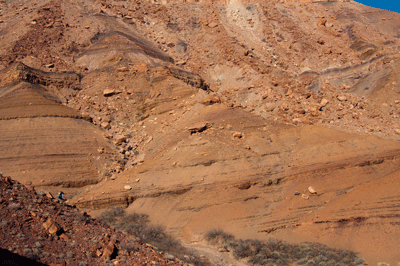 Dennis walks downhill toward the Basalt Canyon creek bed