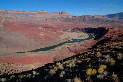 Looking upstream toward Unkar delta