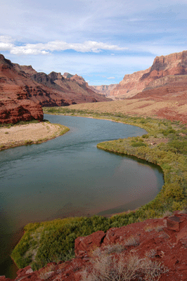 Looking upstream along the Beamer trail