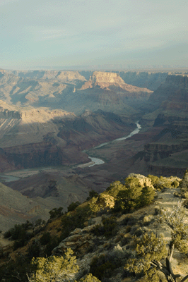 The view from Desert View