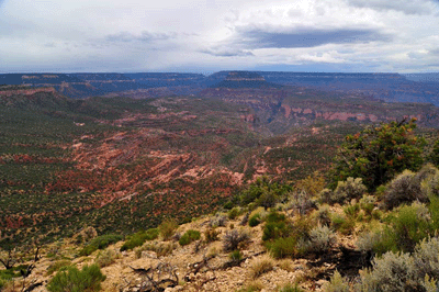 Looking east across the Esplanade from Monument Point