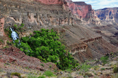 Thunder River erupts into Grand Canyon