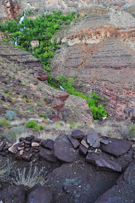 The riparian arear bordering Thunder River with the trail seen in the foreground