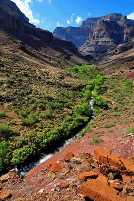 Tapeats Creek flows toward the Colorado with Great Thumb Mesa visible in the distance