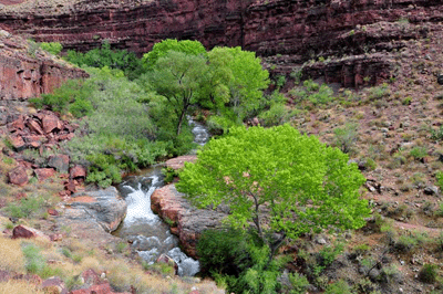 The mini Niagara falls in Tapeats Creek