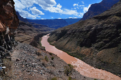 Looking upstream along the Colorado from the Tapeats Creek trail