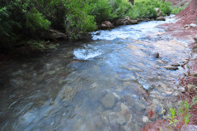 Tapeats Creek crossing