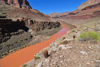 Looking upstream along the Colorado