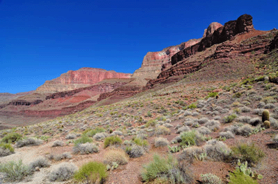 A view towards the Tapeats Terrace from Stone Creek trail