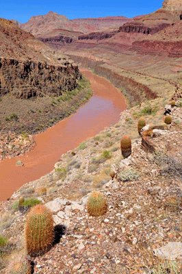 The view upstream from the Stone Creek trail