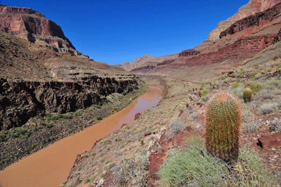 The Colorado River in Grand Canyon