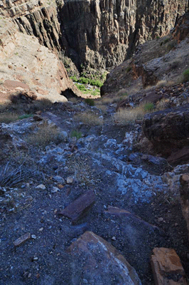 Looking down through the descent route to Tapeats Creek