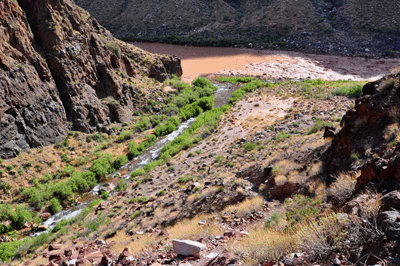 Tapeats Creek meets the Colorado