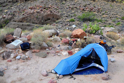 A bighorn ram casually strolls across the slopes behind my tent