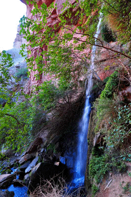 Deer Creek spring