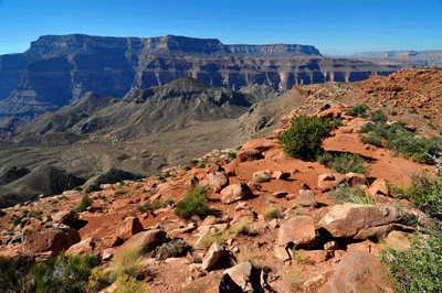 The view into Surprise Valley from the Esplanade with Great Thumb Mesa dominating the far horizon