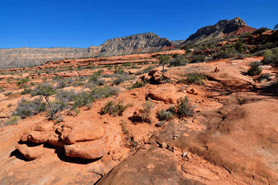 Bridger's Knoll and Monument Point rise from the Esplanade in Grand Canyon