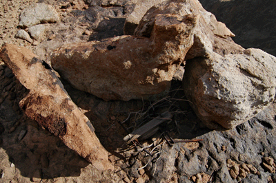 More hardware left behind by 1919 survey crew