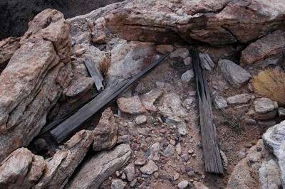 Broken pieces of wood at the rim survey site