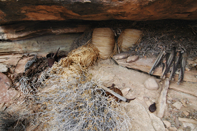 Materials left behind by the 1919 aerial tram survey crew