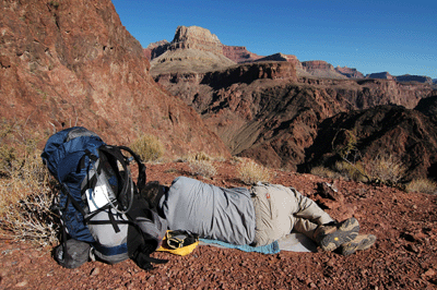 Catnapping in the Canyon