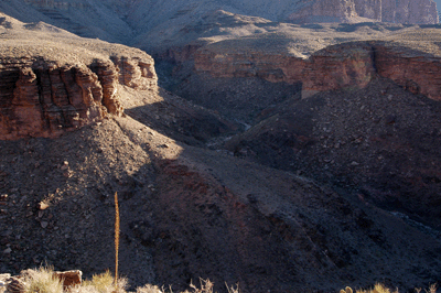 Looking through the east arm of Trinity Creek Canyon