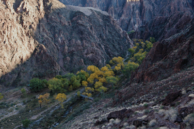 Descending to Bright Angel Campground