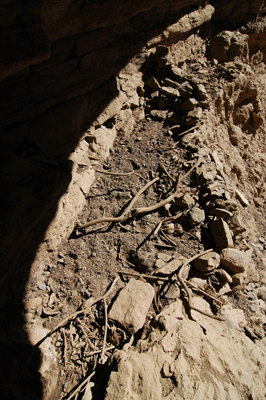 More ruins in the descent drainage