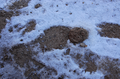 Snow along the Bright Angel Trail above the Mile and a Half Resthouse