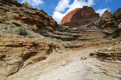 Passing through a drainage along Clear Creek Trail