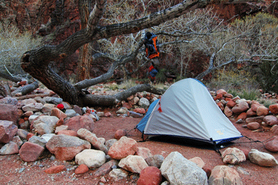 My camp site at Clear Creek